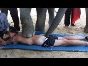 Elephants strip off womans clothes during a massage session